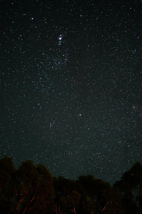 Naivasha Cottage - Winery Find 14