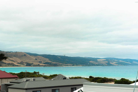 The Apollo - Winery Find 13