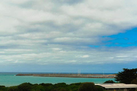 The Apollo - Winery Find 11