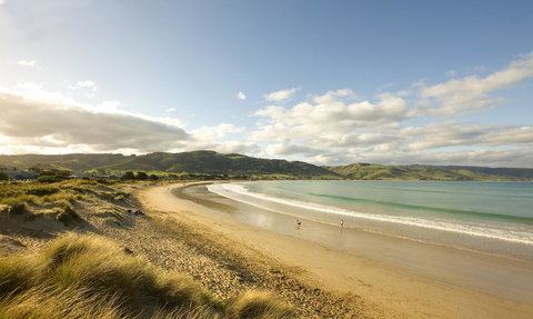 The Apollo - Winery Find 26