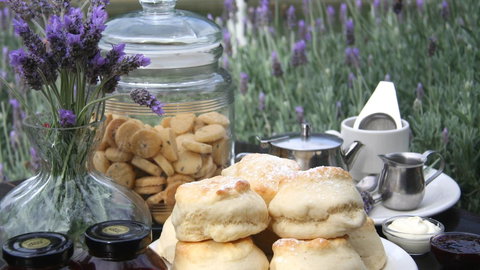 Nautique Beach House - Winery Find 16