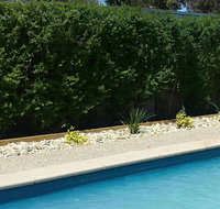 Robinvale Bridge Motel - Winery Find