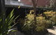 CROWN CENTRAL BUSINESS DISTRICT MOTEL - NO UNDER 18s - thumb 15