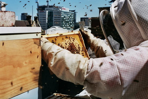 Alto Hotel On Bourke - Winery Find 14