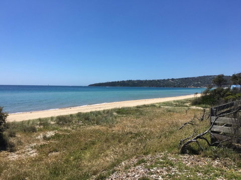 Marina Beach - Winery Find 14