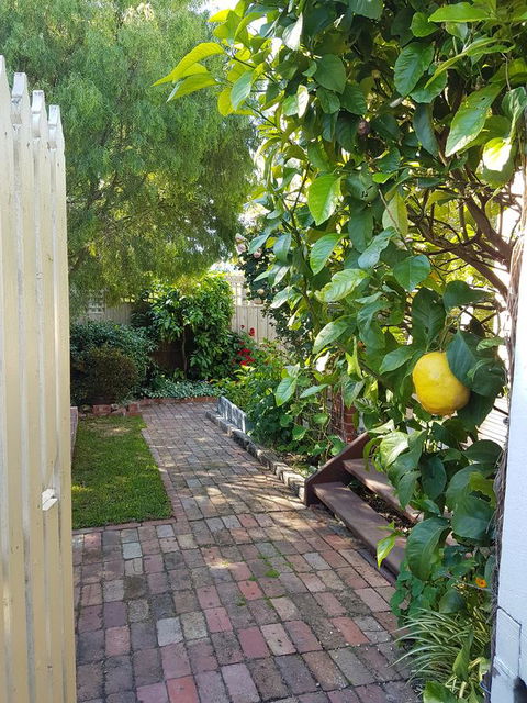 Healesville House - Fig Tree House - Winery Find 17