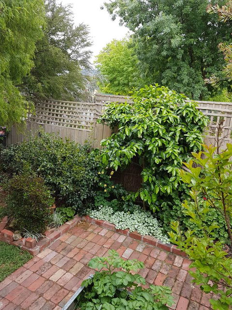 Healesville House - Fig Tree House - Winery Find 21