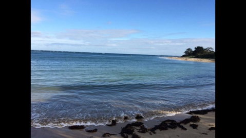 Sea-Esta @ Inverloch - Winery Find 1