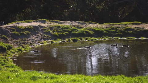 Limosa Rise - Winery Find 15