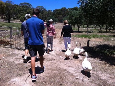 The Farm Willunga - Winery Find 1