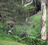 The Miners Cottage Barossa - Winery Find