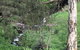 The Miners Cottage, Barossa - thumb 0
