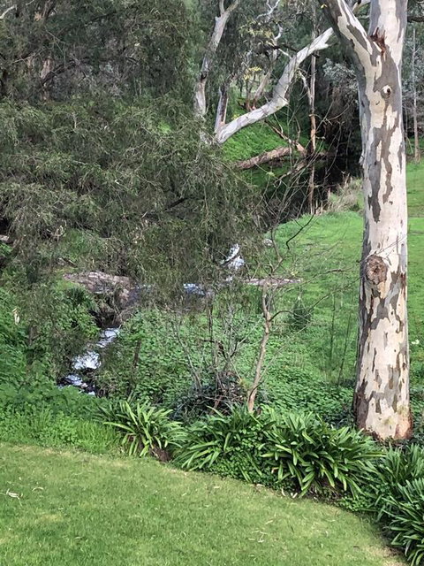 The Miners Cottage, Barossa - Winery Find 0