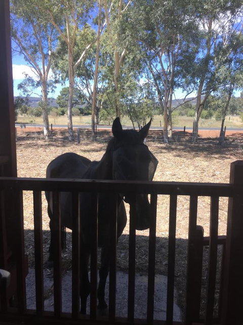 Thie My Chree Retreat - Winery Find 3