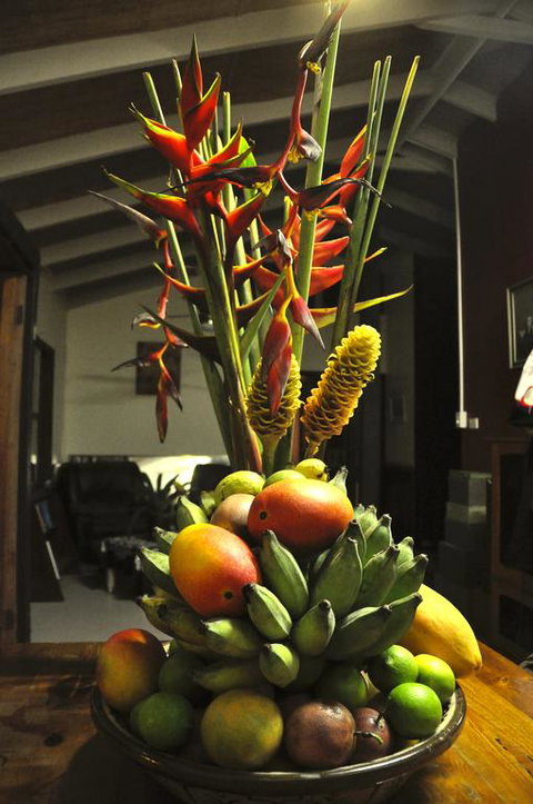 Tropical Bliss Bed And Breakfast - Winery Find 3