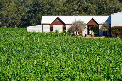Upper Reach Spa Cottage - Winery Find 0