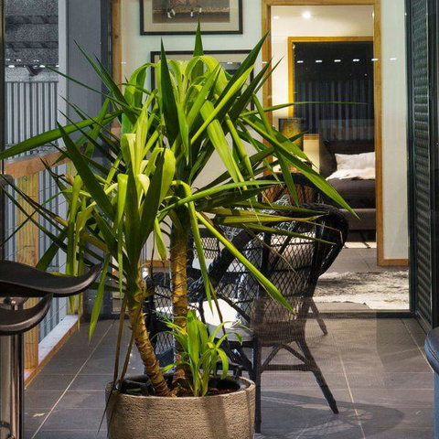 Val D'Argent Equestrian Centre - Winery Find 2