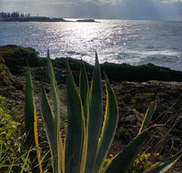 Ven Marks Place - Winery Find