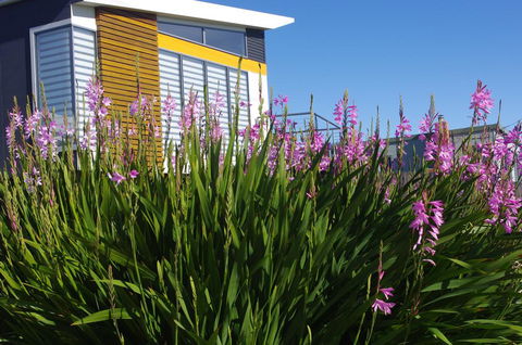 Watercolours - Winery Find 1