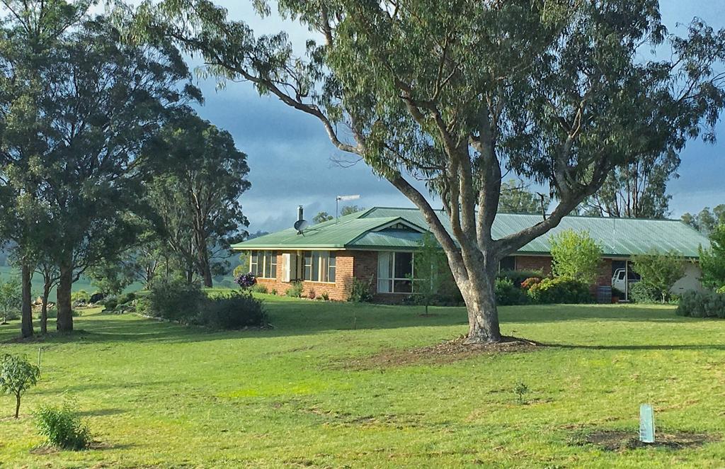 Pallal NSW Winery Find