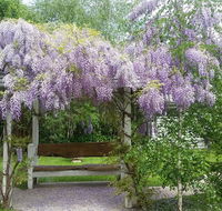 Amelina Cottages - Winery Find