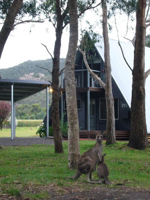 The A-Frame - Winery Find 1