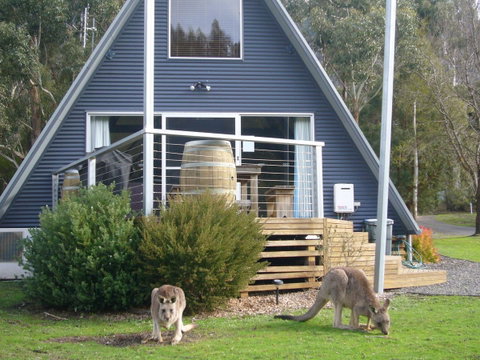 The A-Frame - Winery Find 10
