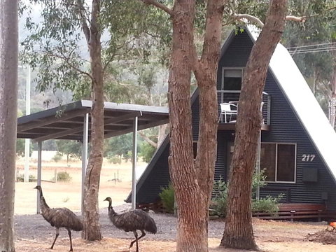 The A-Frame - Winery Find 9