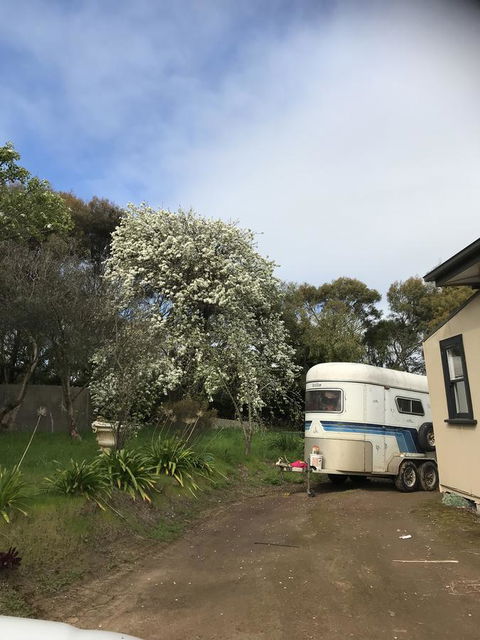 Hillâ€™s Creek Holiday Home - Winery Find 6