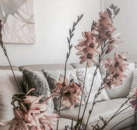 Bed of Roses - Winery Find