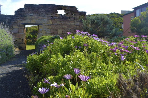 Cape Bridgewater Seaview Lodge - Winery Find 5