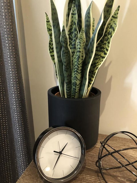 Minni Gums - Winery Find 26