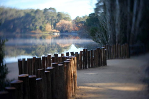 Minni Gums - Winery Find 4