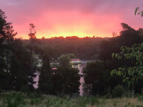 Minni Gums - Winery Find 2