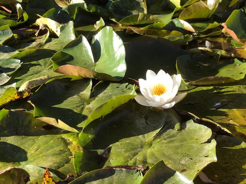 Minni Gums - Winery Find 1