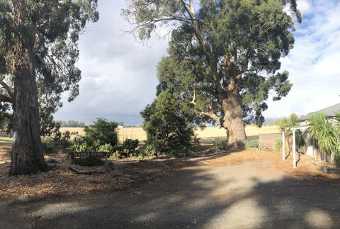 Minni Gums - Winery Find 18