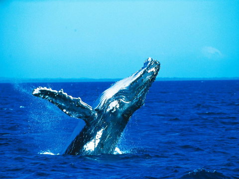 La Mer Sunshine Beachfront - Winery Find 19