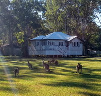 Lake Weyba Noosa Lodge  Kangaroos - Winery Find
