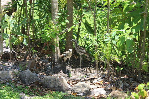 Amaroo On Mandalay, Magnetic Island - Winery Find 40