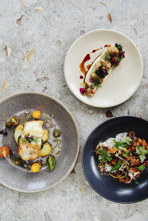 Pullman Port Douglas Sea Temple Resort And Spa - Winery Find 34