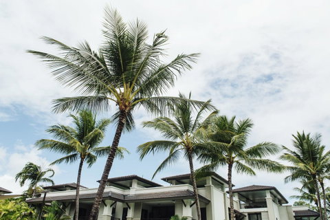 Pullman Port Douglas Sea Temple Resort And Spa - Winery Find 17