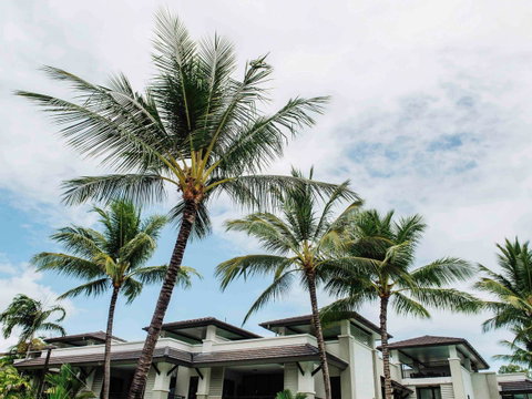 Pullman Port Douglas Sea Temple Resort And Spa - Winery Find 4