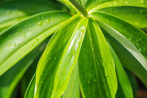 Port Douglas Motel - Winery Find 27