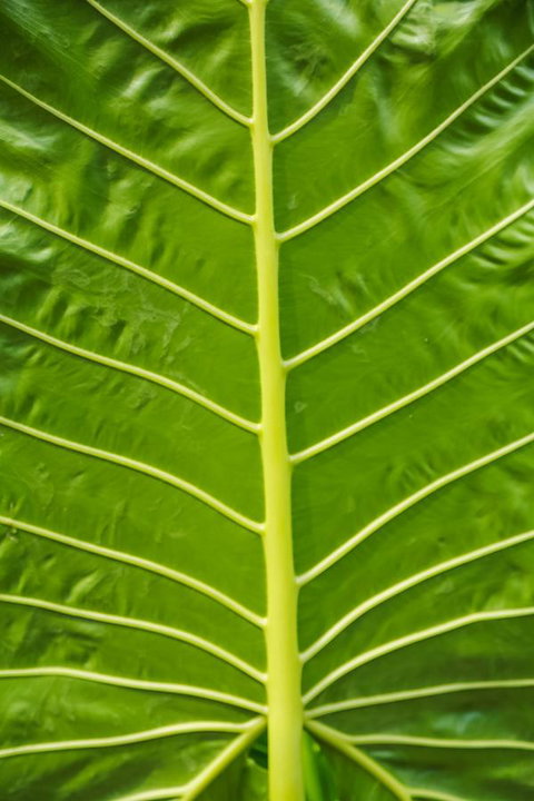 Port Douglas Motel - Winery Find 24