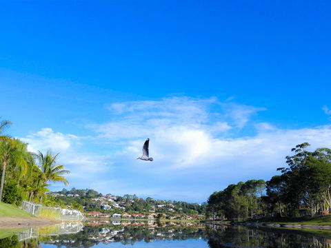 Bay Of Palms - Winery Find 18