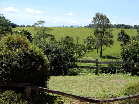 Malanda Manor Guesthouse - Winery Find 17