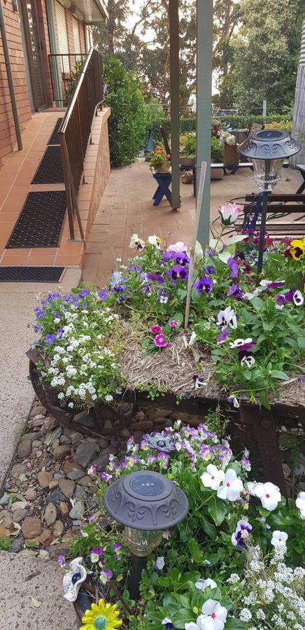 Manitzky Magic -B&B Home With Heart - Winery Find 8