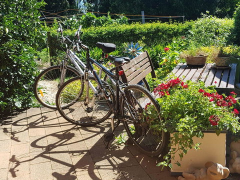 Manitzky Magic -B&B Home With Heart - Winery Find 26