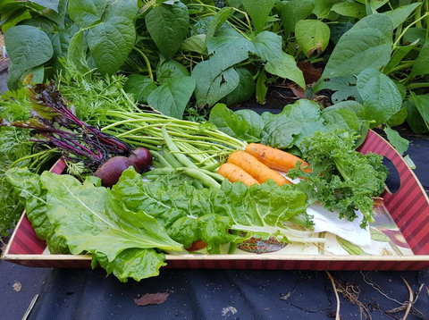 Manitzky Magic -B&B Home With Heart - Winery Find 23