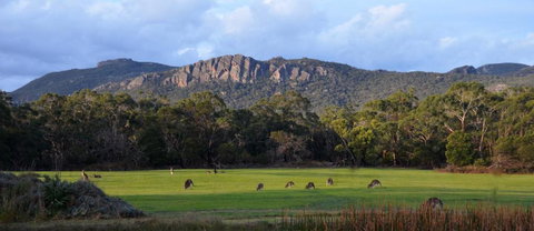 A Boat In The Grampians - Winery Find 0